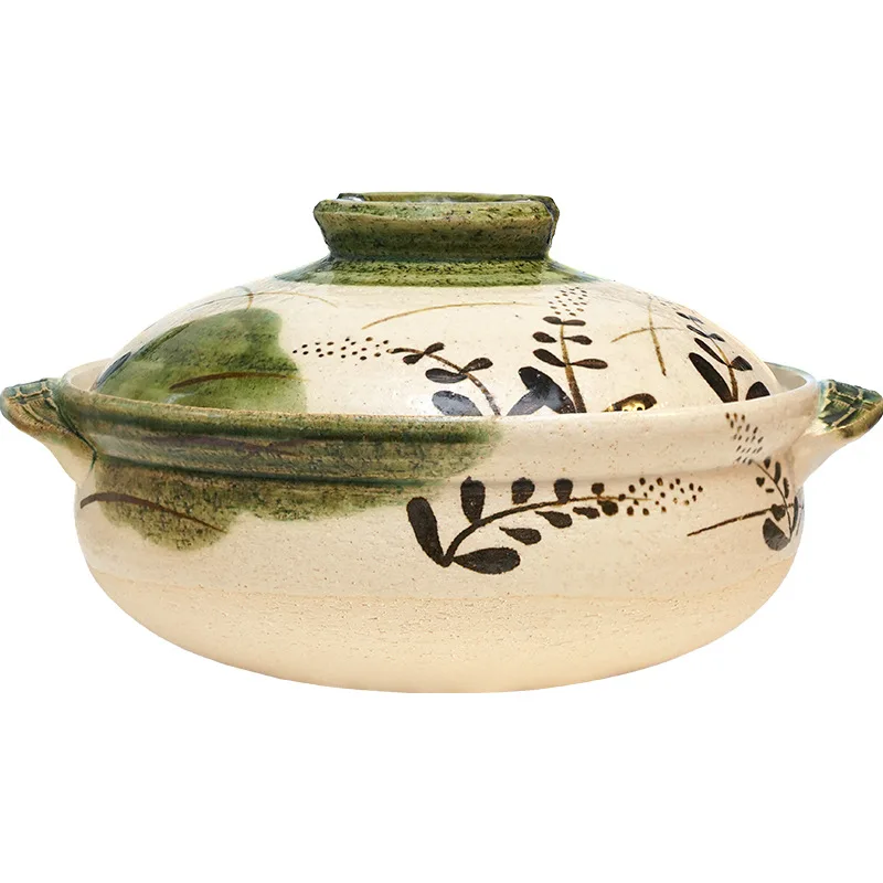 Aloe Vera Pot - Pot de casserole domestique en argile
