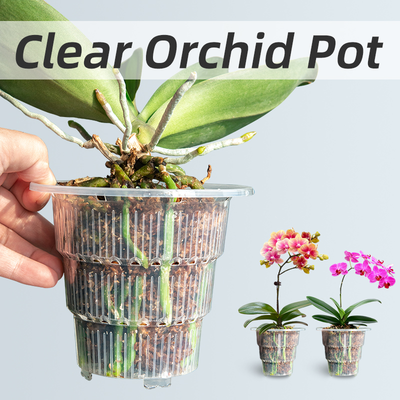 Aloe Vera Pot - Meshpot-Pots d'orchidées en plastique transparent avec