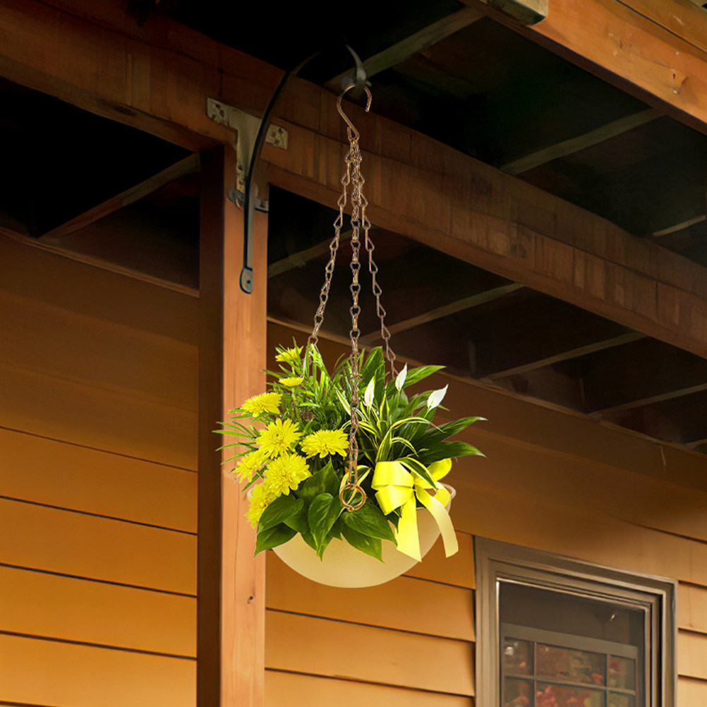 Spider Plant Hanging - Pots de fleurs suspendus en fer