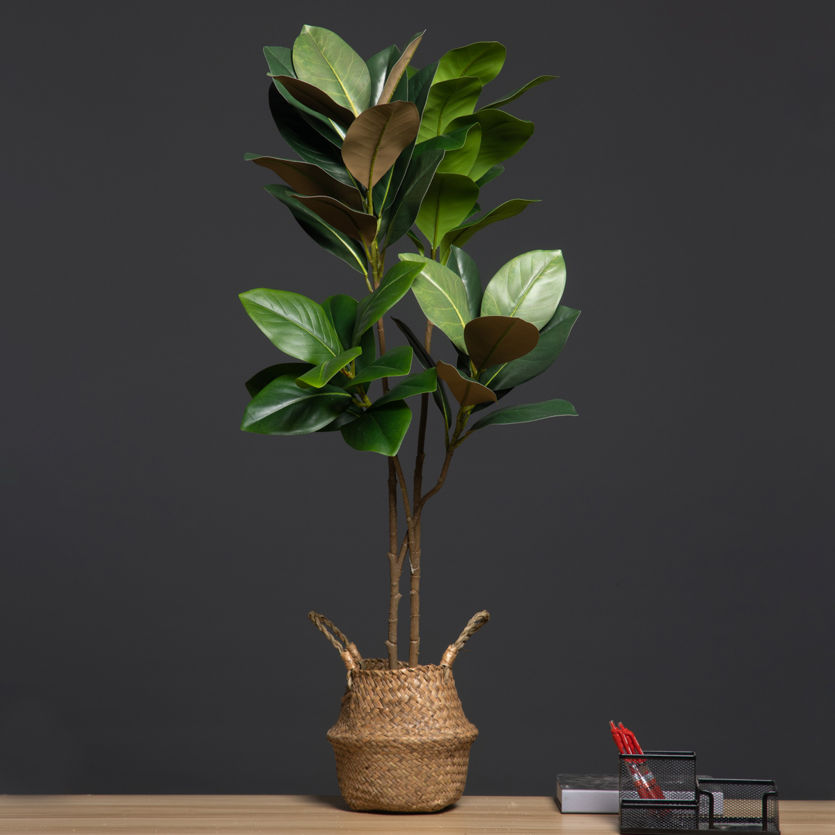 Dracaena Marginata - Grands plantes artificielles de 105cm, 2
