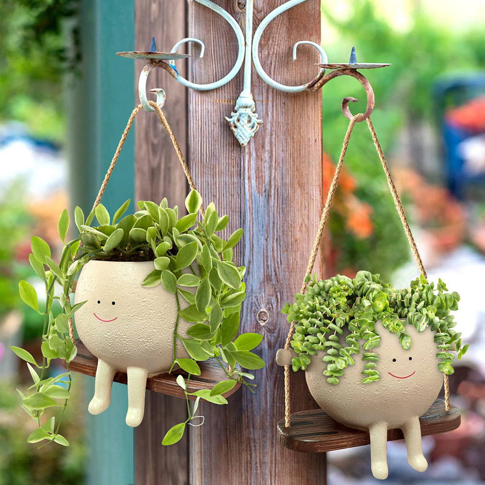 Paniers de suspension pour pla - Echeveria Succulent avis et prix