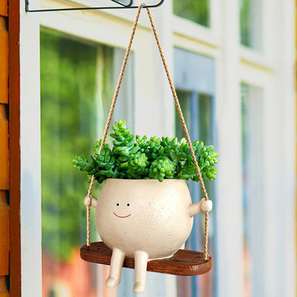 Paniers de suspension pour pla - Echeveria Succulent avis et prix