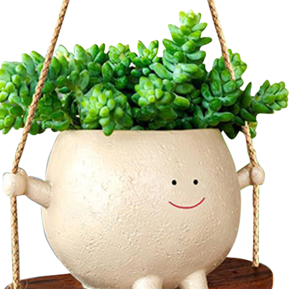 Paniers de suspension pour pla - Echeveria Succulent avis et prix