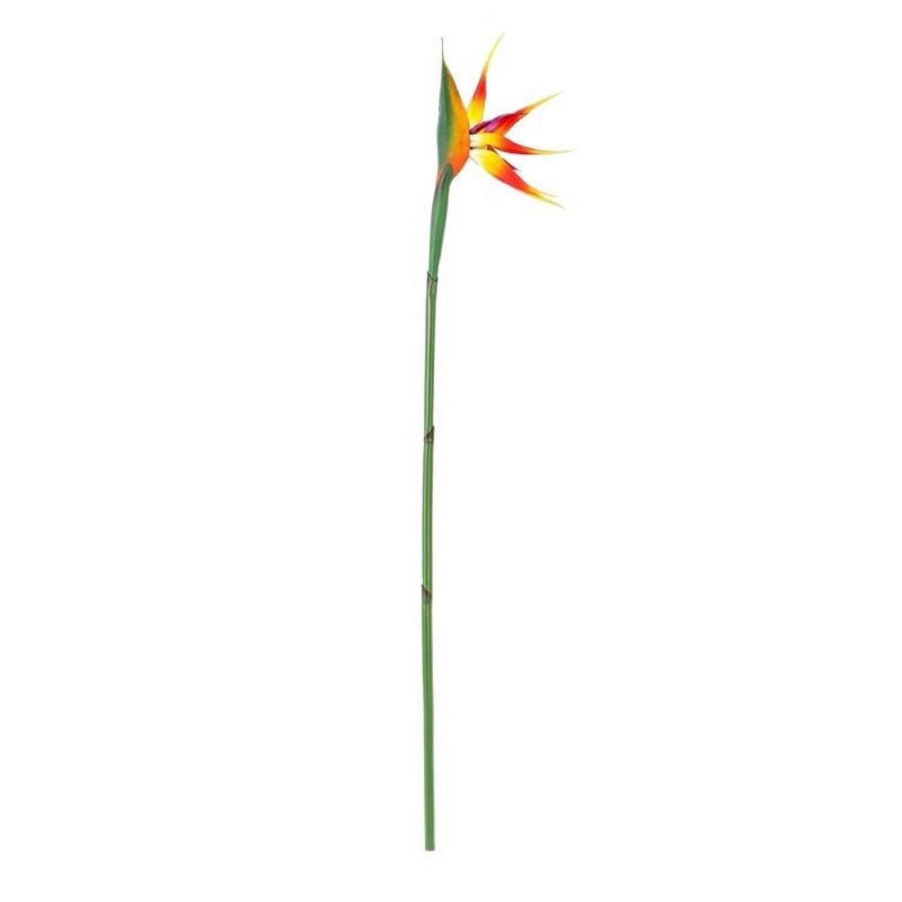 Plantes artificielles décorati - Bird Paradise Strelitzia avis et prix