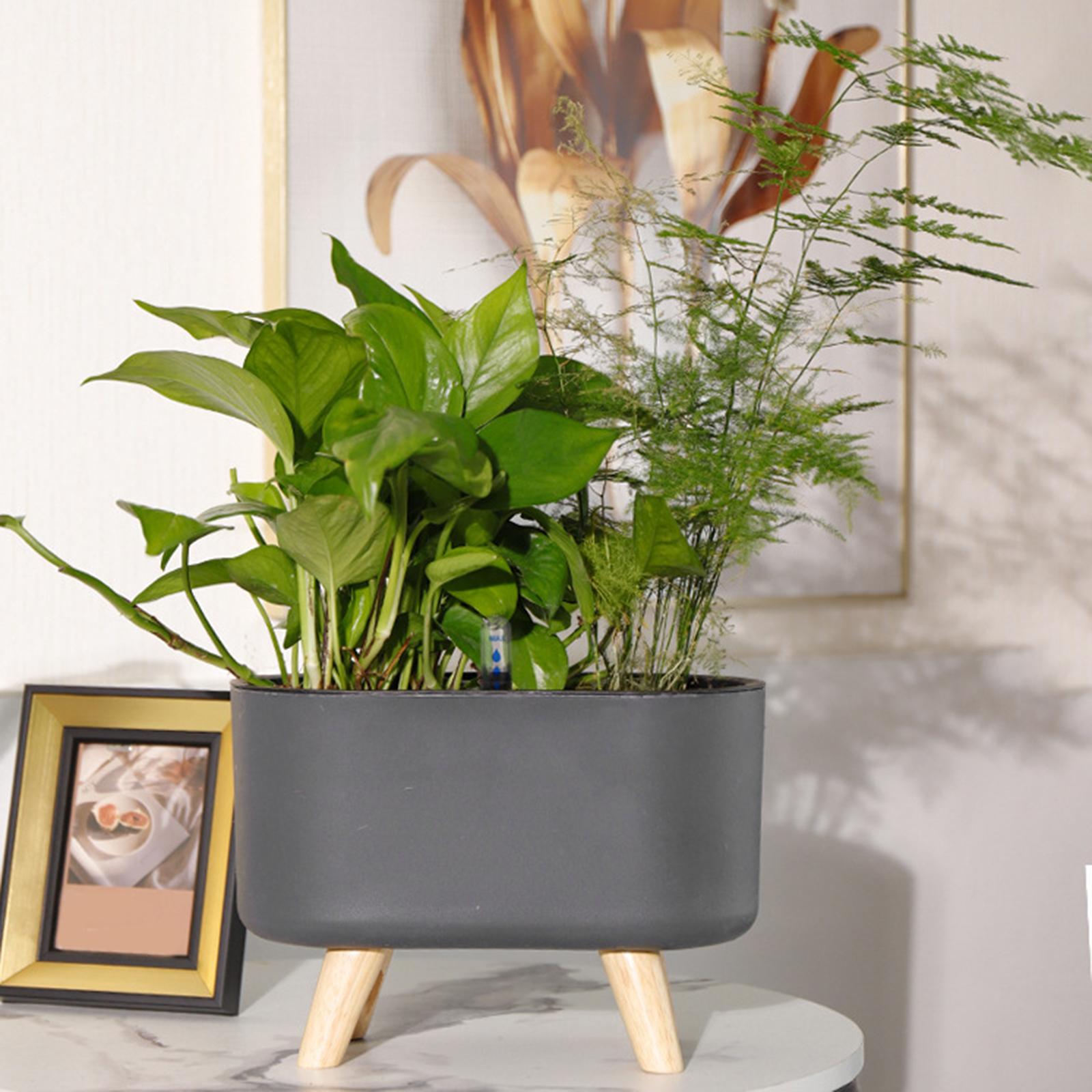 Jardinière à arrosage automati - Aloe Vera Pot avis et prix