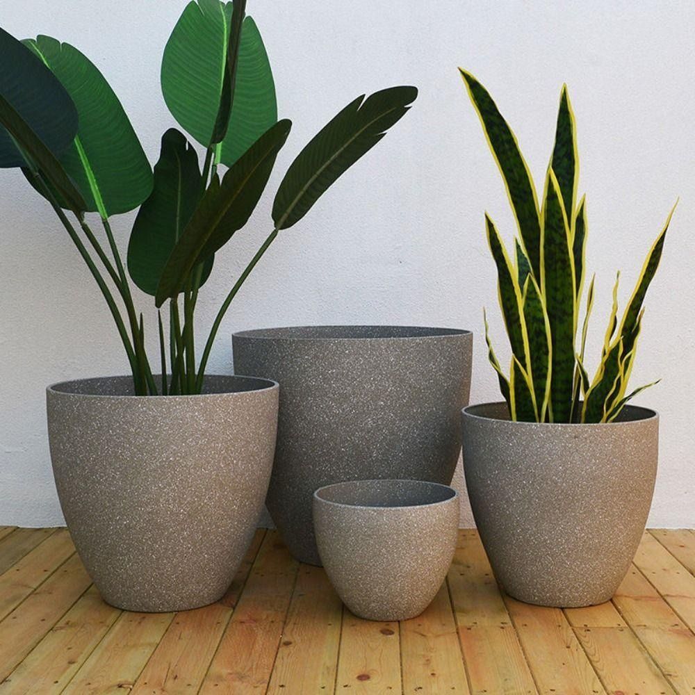 Pot de fleurs bonsaï en pierre - Aloe Vera Pot avis et prix