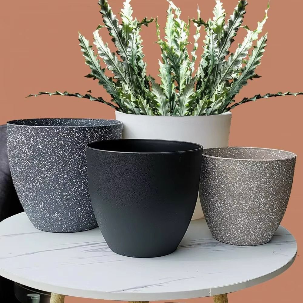 Pot de fleurs bonsaï en pierre - Aloe Vera Pot avis et prix