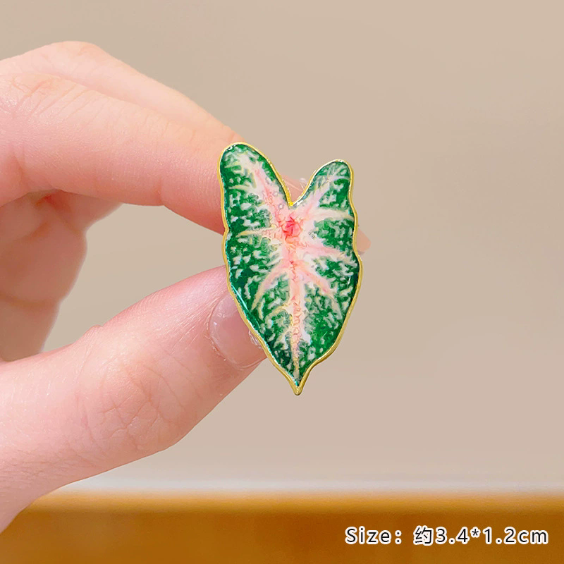Broche plante en pot Monstera  - Aloe Vera Pot avis et prix