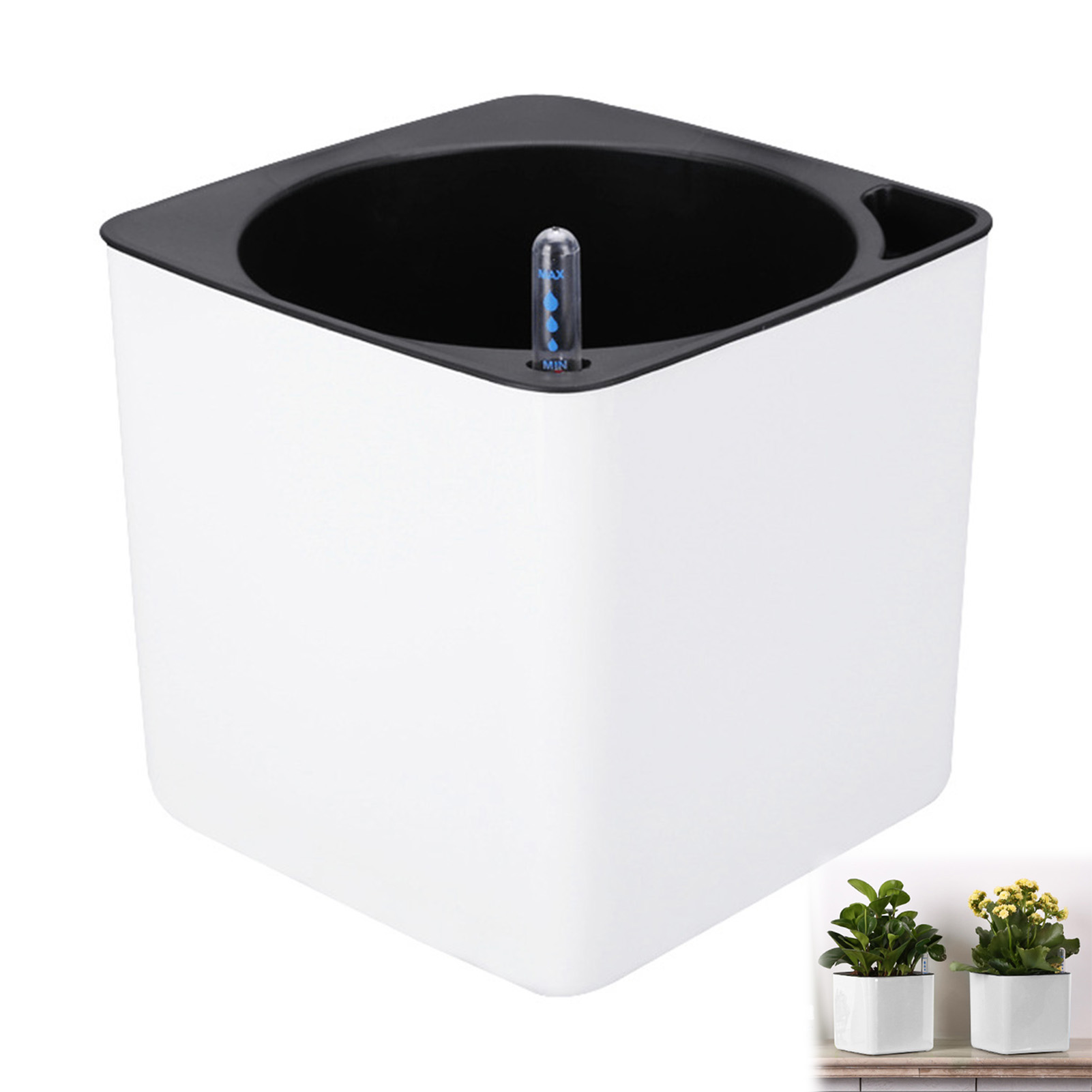 Pot de plantes à fleurs à arro - Aloe Vera Pot avis et prix