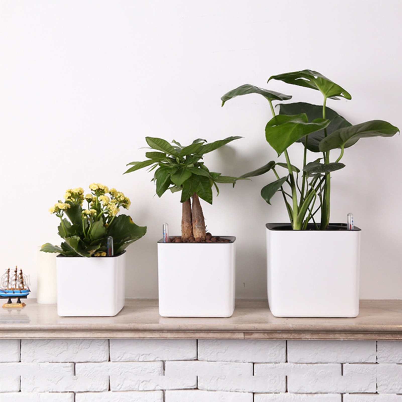 Pot de plantes à fleurs à arro - Aloe Vera Pot avis et prix