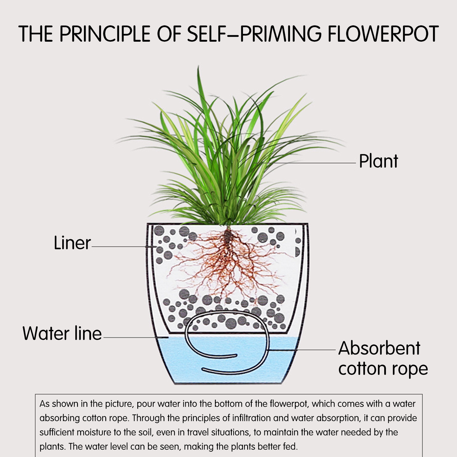 Pot de plantes à fleurs à arro - Aloe Vera Pot avis et prix