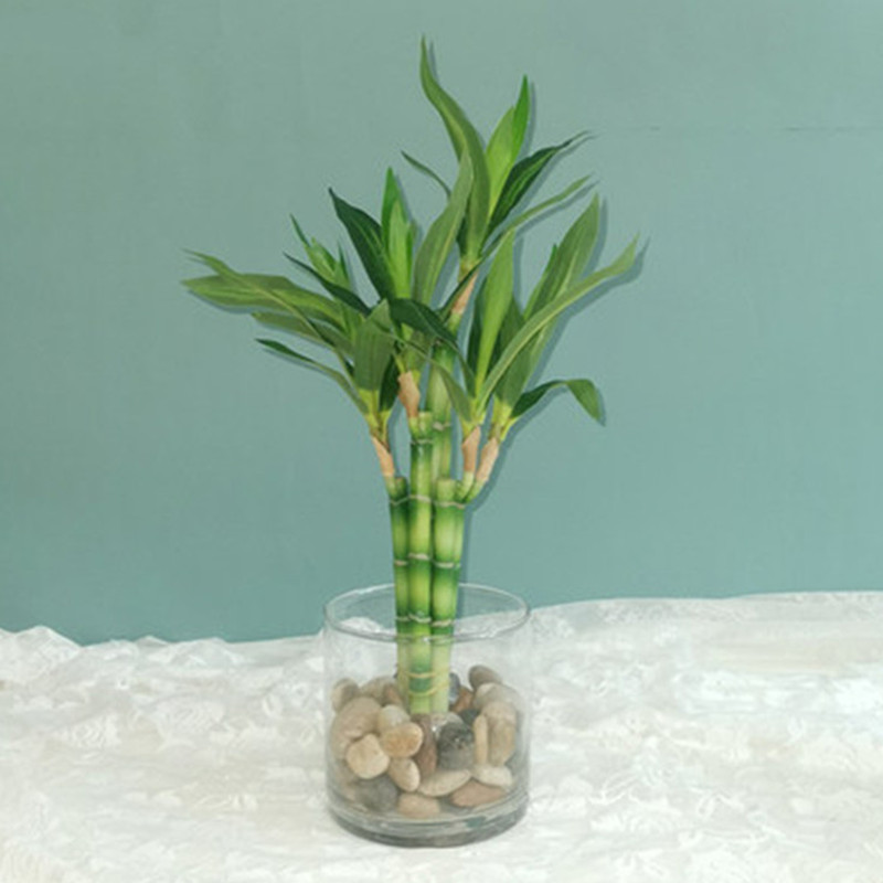 Nouveau 40cm rFtificial chance - Echeveria Succulent avis et prix