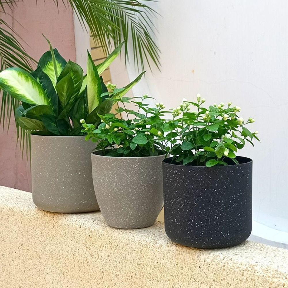 Pots de fleurs en pierre d'imi - Aloe Vera Pot avis et prix