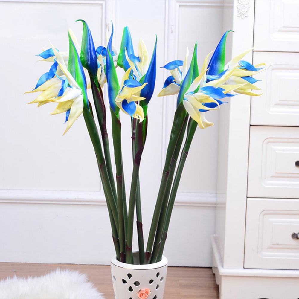 1pc 80cm fleur oiseau du parad - Bird Paradise Strelitzia avis et prix