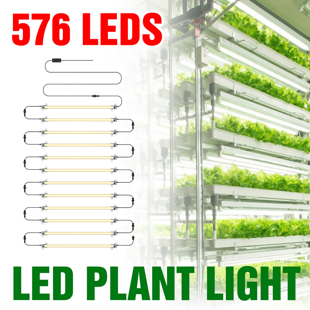 LED élèvent la bande lumineuse - Echeveria Succulent avis et prix