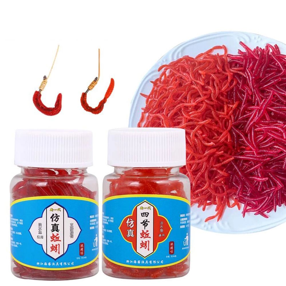 100 pièces/bouteille matériel  - Aglaonema Red avis et prix