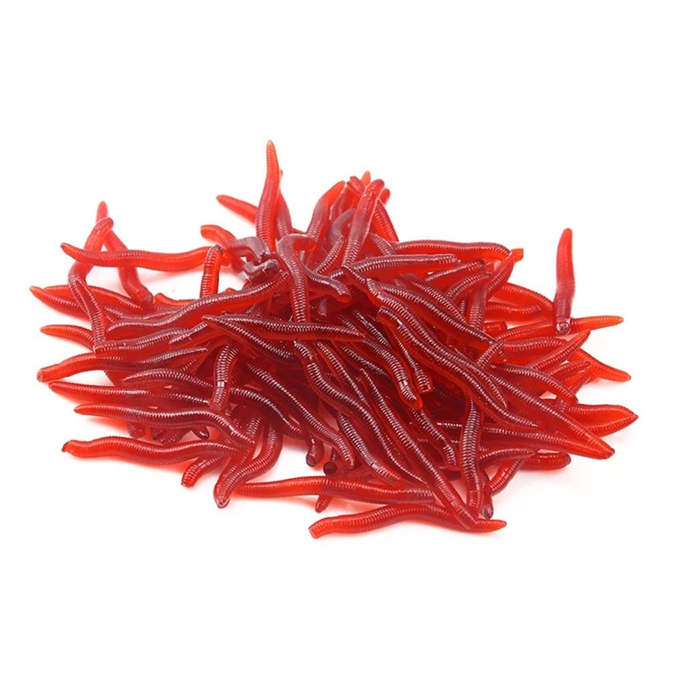 100 pièces/bouteille matériel  - Aglaonema Red avis et prix