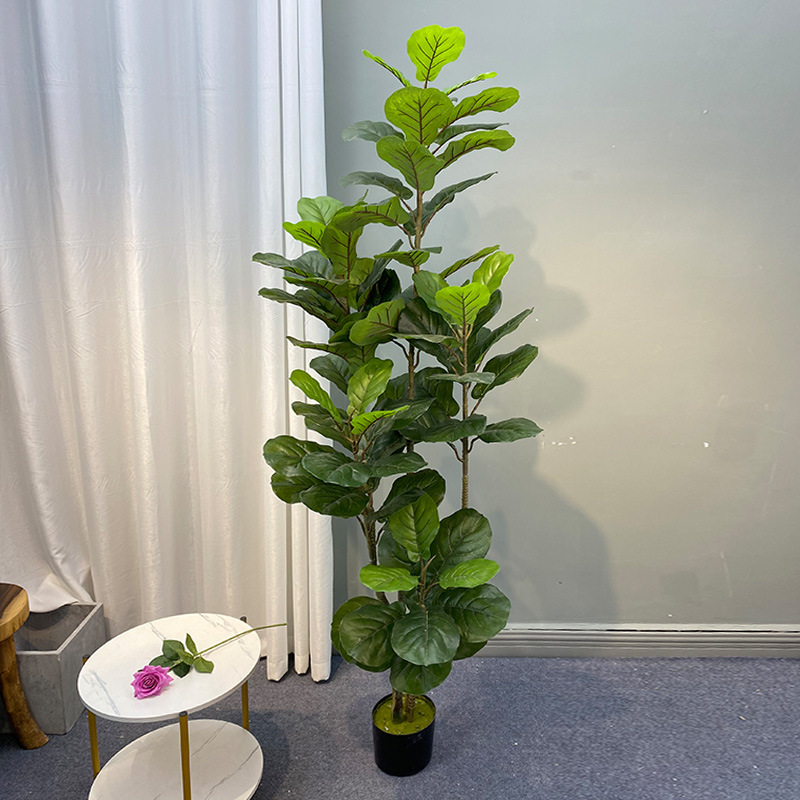 Grand Ficus Plantes Artificiel - Ficus Lyrata Tree avis et prix
