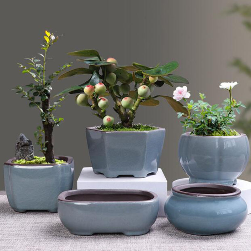 Pot de fleur en céramique rétr - Echeveria Succulent avis et prix
