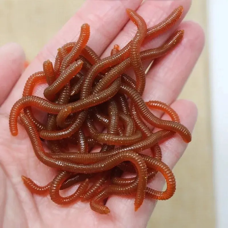 Leurre souple biomimétique rou - Aglaonema Red avis et prix