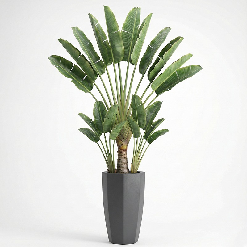 Ficus Lyrata Artificiel Hautem - Ficus Lyrata Tree avis et prix