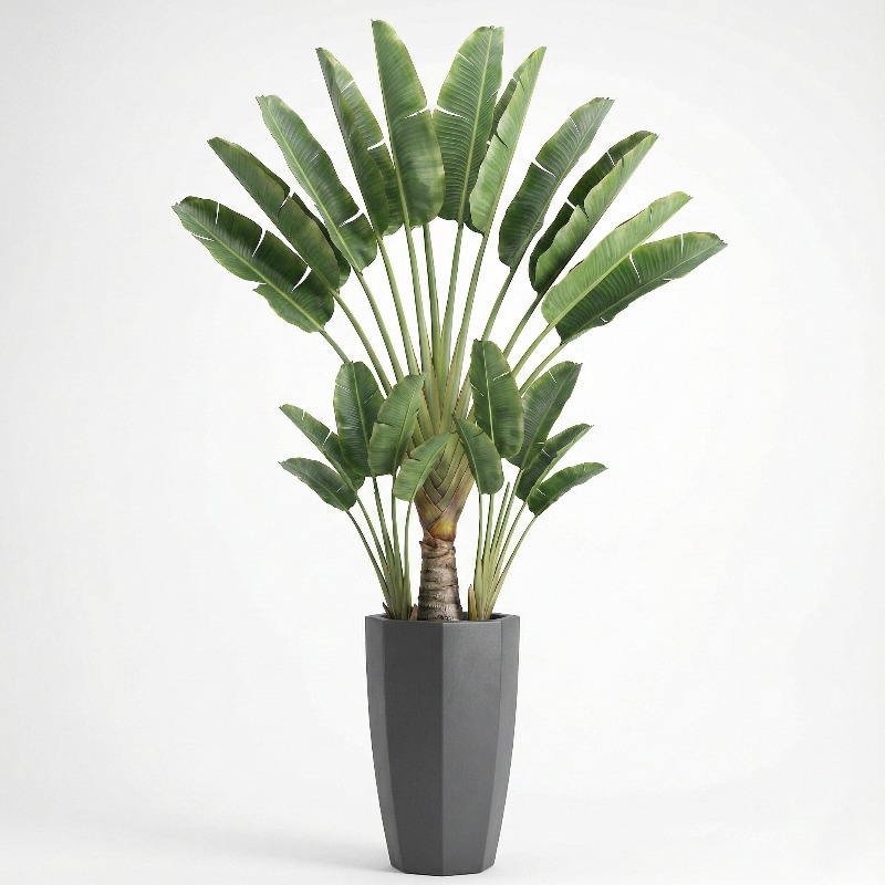 Ficus Lyrata Artificiel Hautem - Ficus Lyrata Tree avis et prix