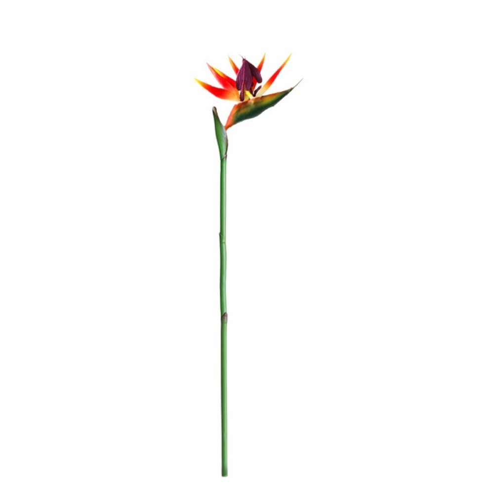 Fleurs artificielles Strelitzi - Bird Paradise Strelitzia avis et prix