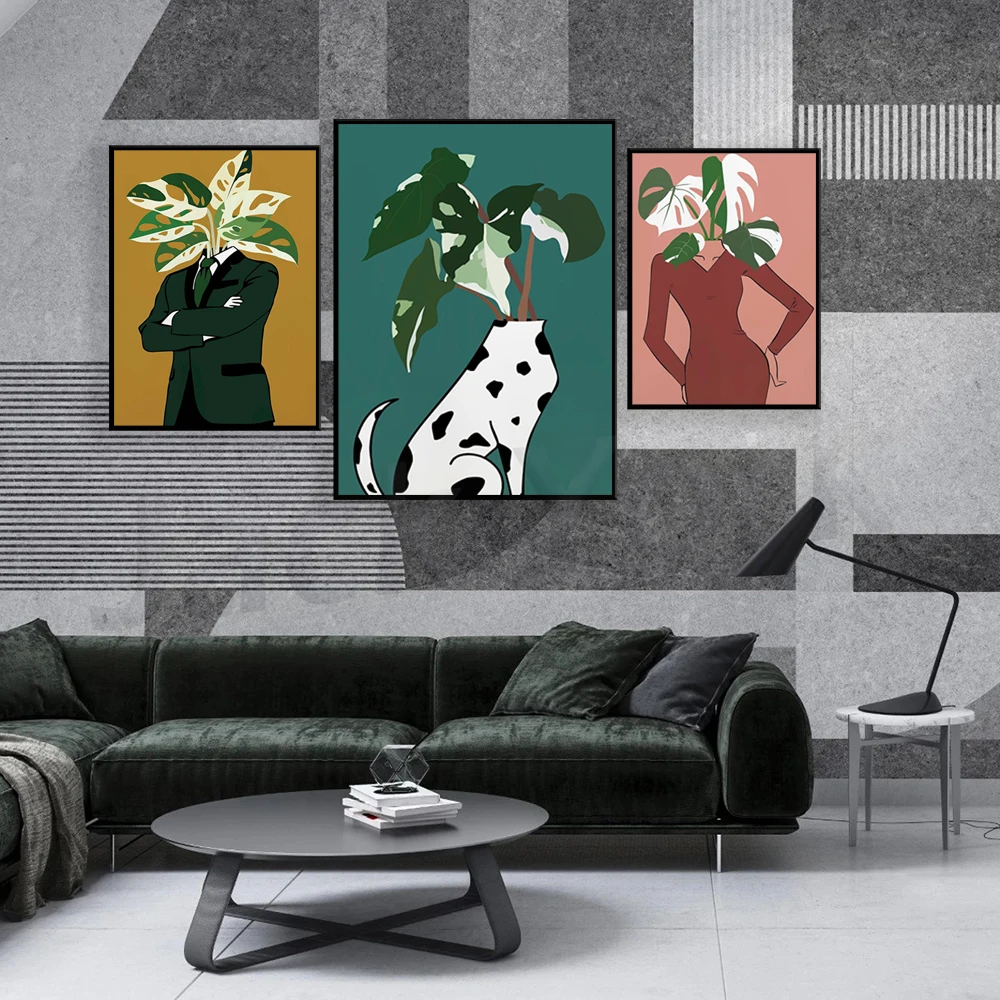 Monstera Albo dans une affiche - Monstera Adansonii avis et prix