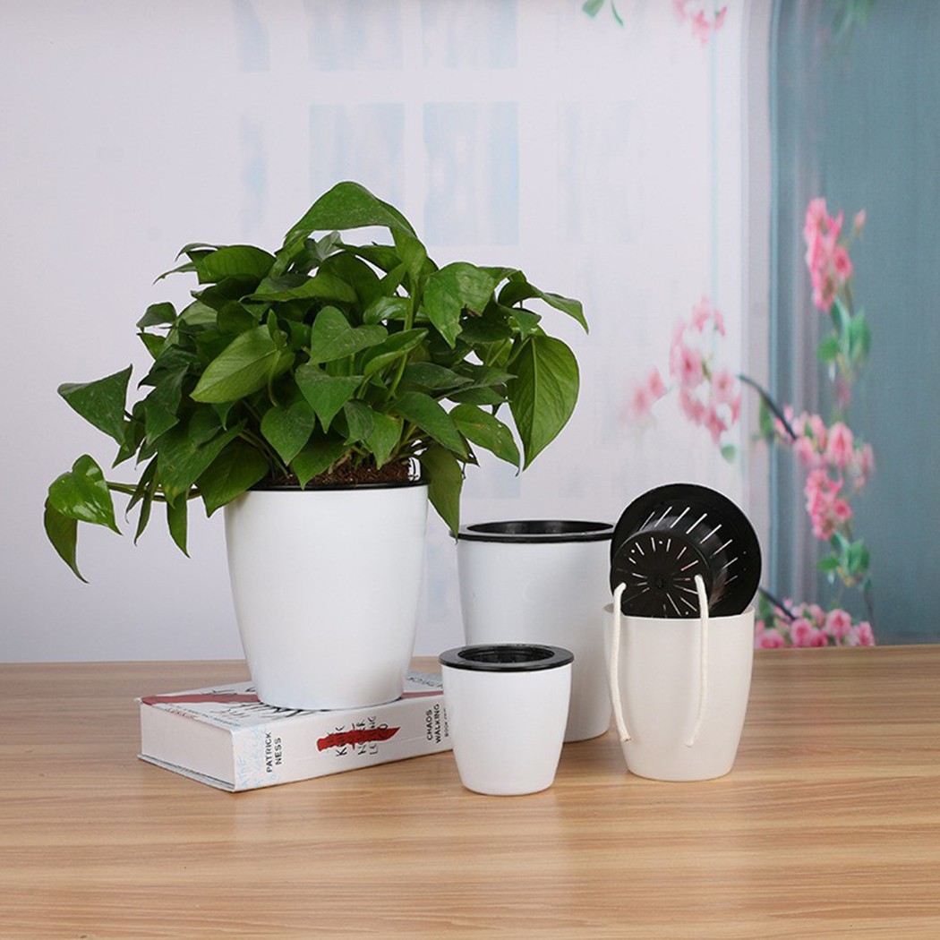 Pot de fleurs d'arrosage autom - Aloe Vera Pot avis et prix