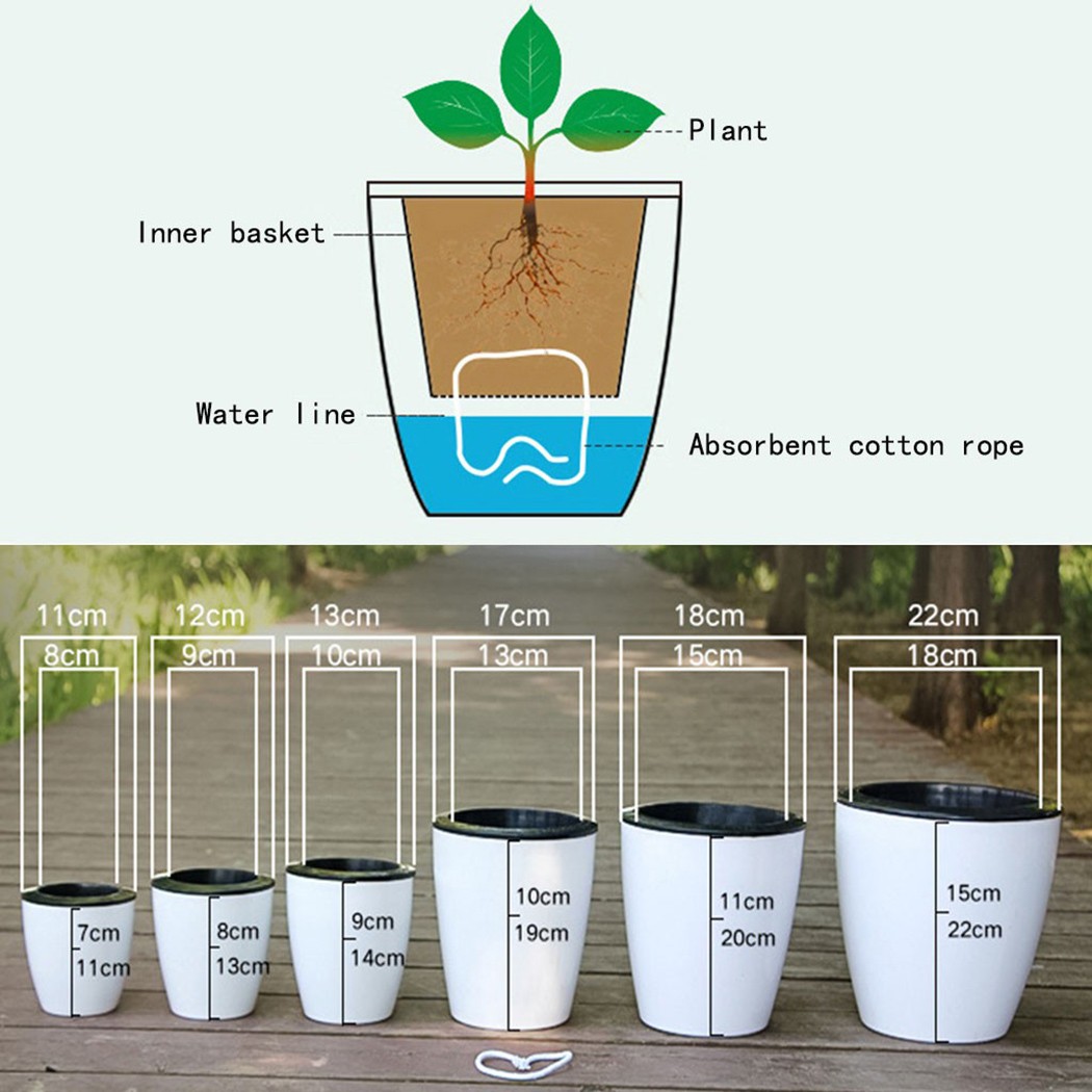 Pot de fleurs d'arrosage autom - Aloe Vera Pot avis et prix