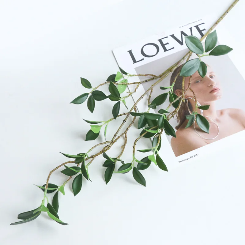 Branche de Ficus Tenuifolia Ar - Ficus Lyrata Tree avis et prix
