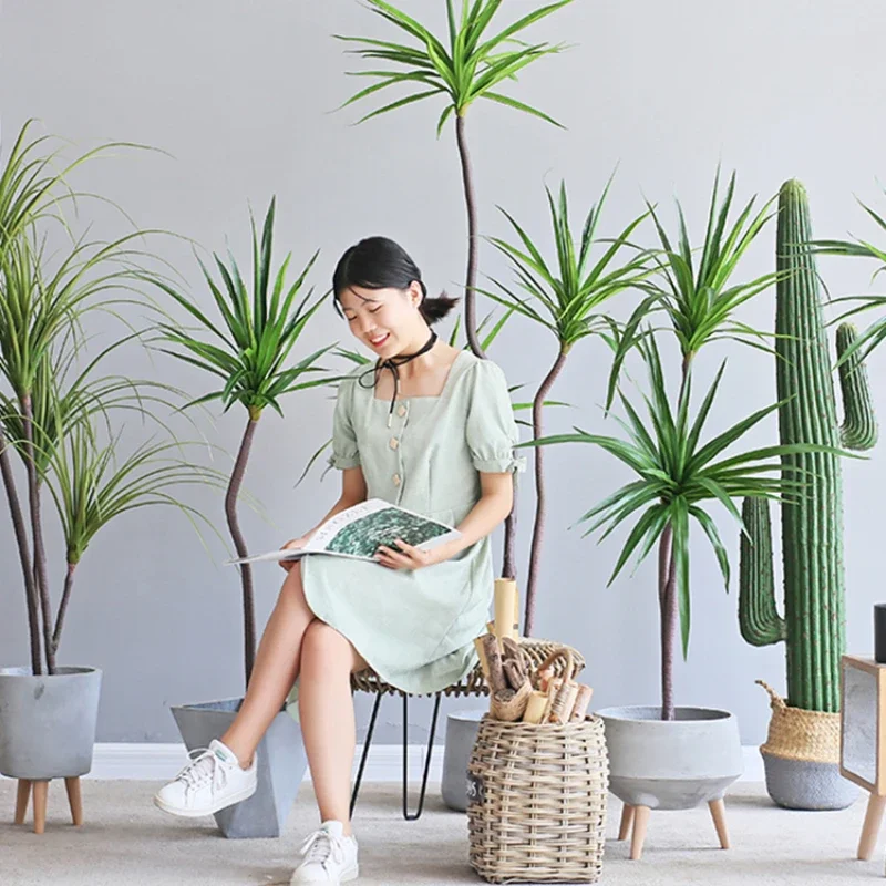 Plante de Simulation Dracaena  - Dracaena Marginata avis et prix