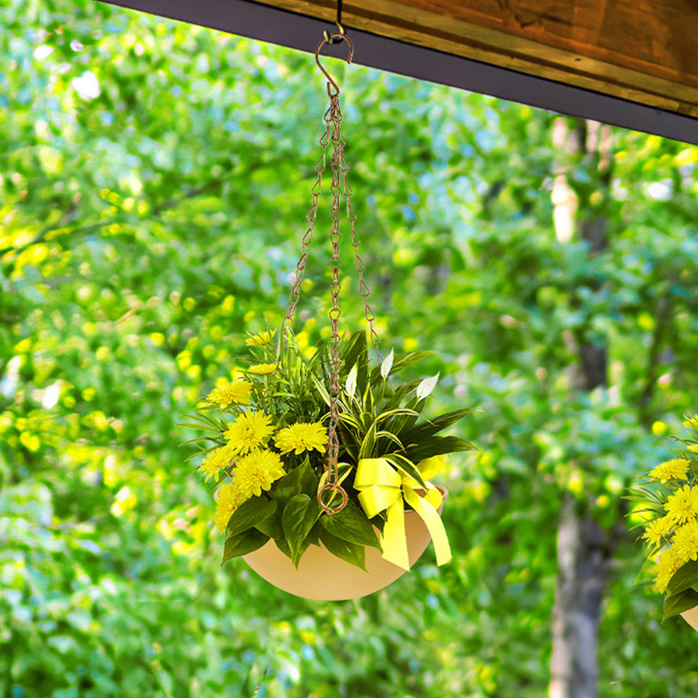 Pots de fleurs suspendus en fe - Spider Plant Hanging avis et prix