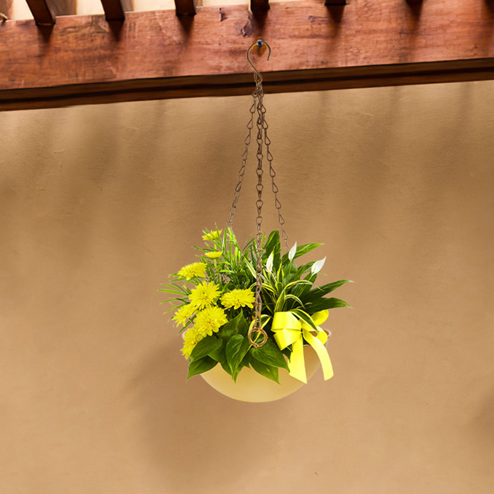 Pots de fleurs suspendus en fe - Spider Plant Hanging avis et prix